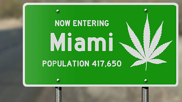 istock Miami Florida and marijuana laws 487380410