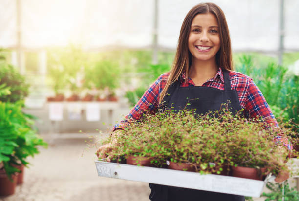 istock Smiling woman working in a commercial nursery 487380618