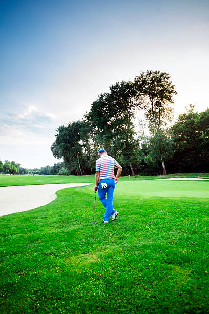 istock Beautiful golfing scenery with a golfer holding a club 487383360