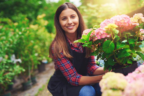 femme heureuse souriant présentant une rose hortensia - garden center flower women plant photos et images de collection