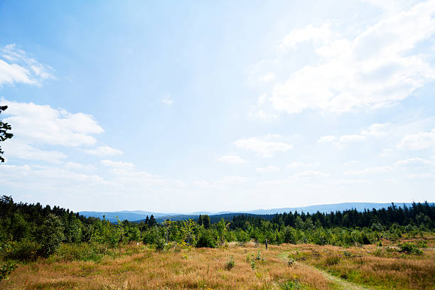 Woods and panorama of Kahler Asten Woods and panorama of mountain Kahler Asten in Sauerland at summertime, North Rhine Westfalia. winterberg photos stock pictures, royalty-free photos & images