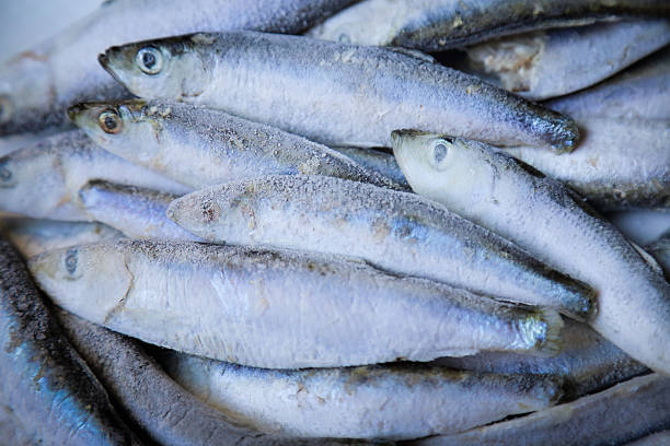 Deep frozen fish, sardines, from supermarket stock photo