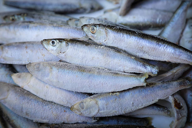 istock Deep frozen fish, sardines, from supermarket 487386744