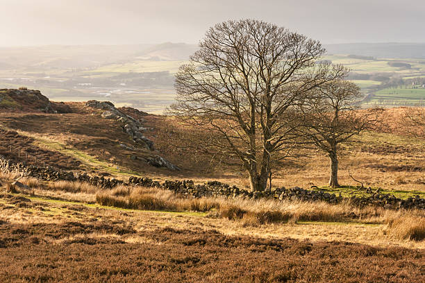 istock English coutryside in autumn 487387394