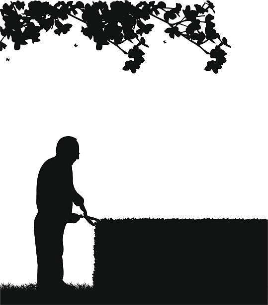 Gardener trimming a bush or tree or hedges Gardener trimming a bush or tree or hedges with big shears silhouette branch trimmers stock illustrations