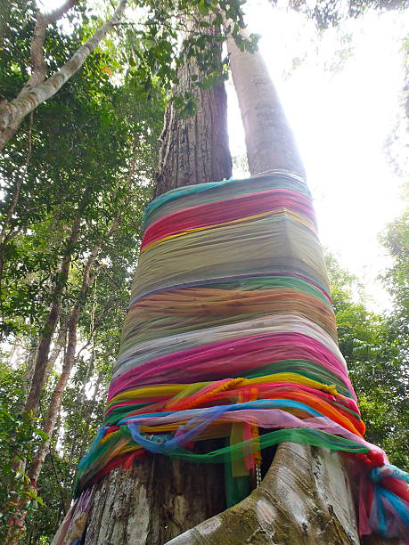 Sacred Tree stock photo