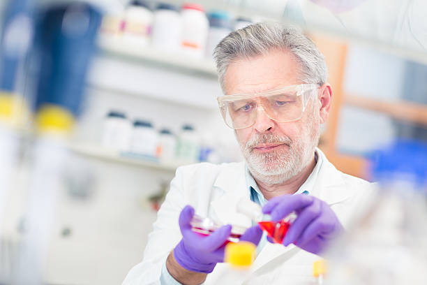 istock Life scientist researching in the laboratory. 487391003