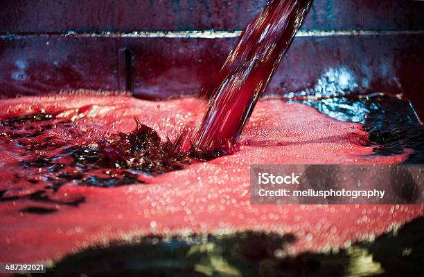 Presionar Las Uvasaerating Junta Jugo De Uva Foto de stock y más banco de imágenes de Zumo de uva - Zumo de uva, Aplastado, Uva