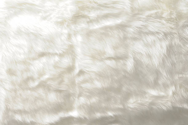 istock Close-up of white fur texture background 487394603