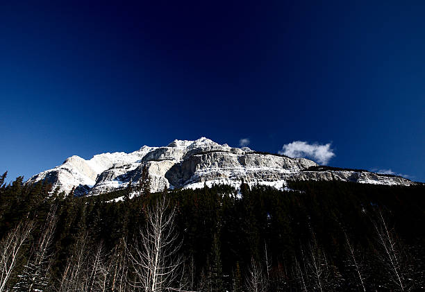 istock Rocky Mountains in winter 487394645
