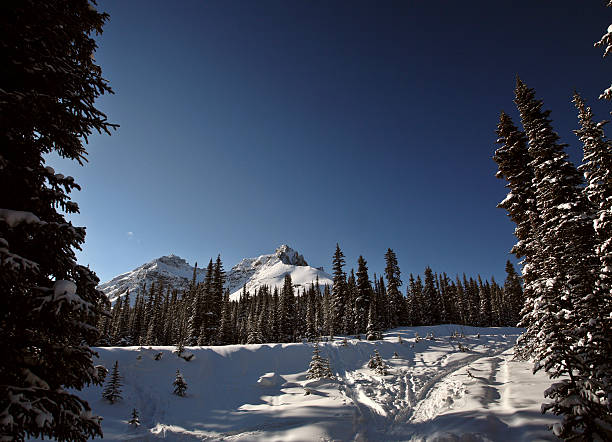 istock Rocky Mountains in winter 487394663