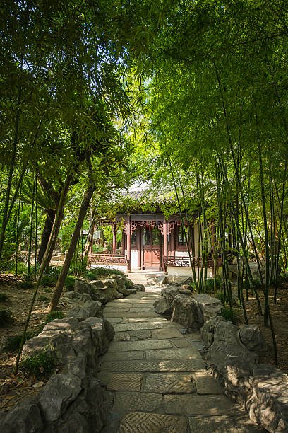 istock China curving path through bamboo grove to traditional temple Shanghai 487394824