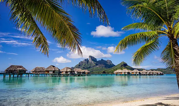 Beautiful scenic view of Bora Bora framed by palm trees