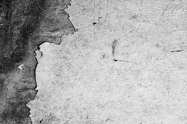 istock Texture background of old wall, black and white. The peeling 487402230