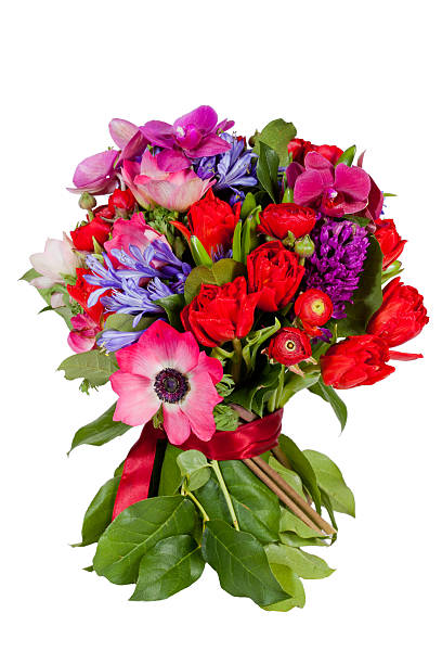 istock flowers isolated on white background 487402860