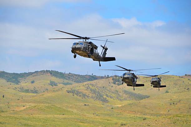 Blackhawk Helicopters Ft. Carson, CO, USA - June 7, 2014: The Colorado National Guard in partnership with Fort Carson conducted a (CALFEX) combined-arms live-fire exercise and public demonstration at Fort Carson. Blackhawk helicopters coming in for a landing.  blackhawk stock pictures, royalty-free photos & images