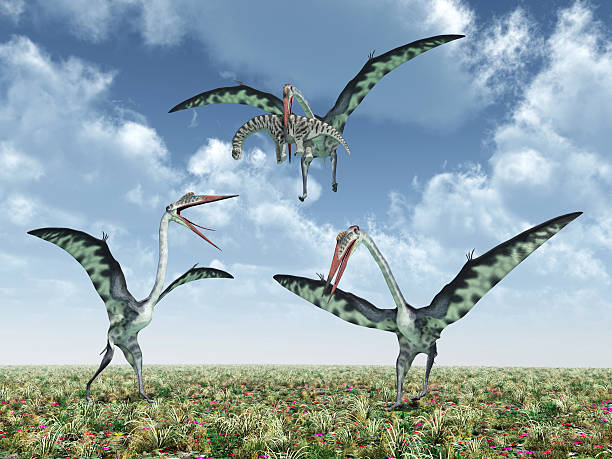 istock Quetzalcoatlus attacks a Camarasaurus 487407000