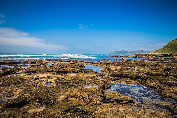 istock Umngazi River Mouth 487407240