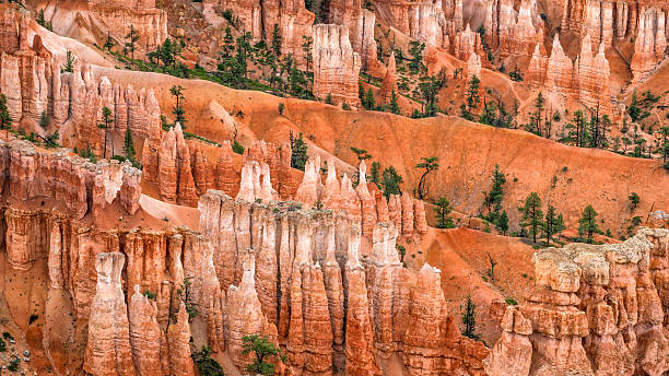 Hoodoos in Bryce Canyon National Park stock photo