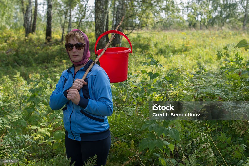 Woman collecting mushrooms a woman in a headscarf one in the autumn forest with a bucketthe woman found the mushrooms in the autumn forest 2015 Stock Photo