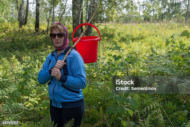 Woman Collecting Mushrooms Stock Photo - Download Image Now - 2015, Activity, Adult