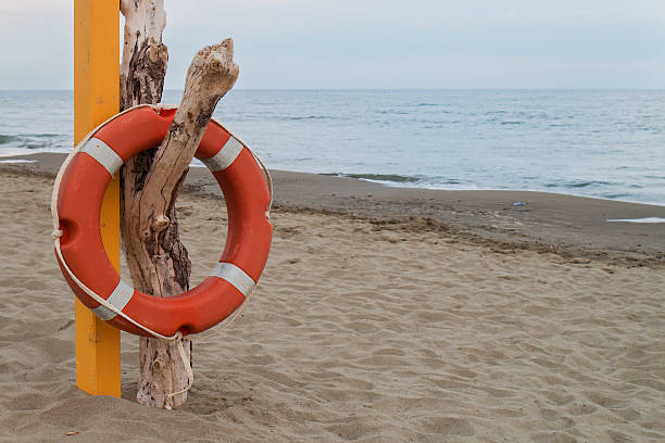 istock orange lifebuoy hanging on a dry dead trunk at beach 487410142