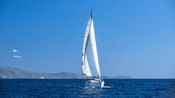 istock Sailboat participate in sailing regatta. Sailing. 487411542