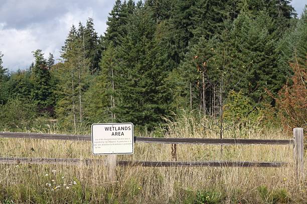 istock Wetlands Area And Sign Designating It 487415042