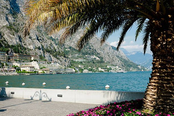 istock Lemon on Garda, Lake Lake Garda, 487415594