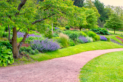 Flowerbeds and garden path