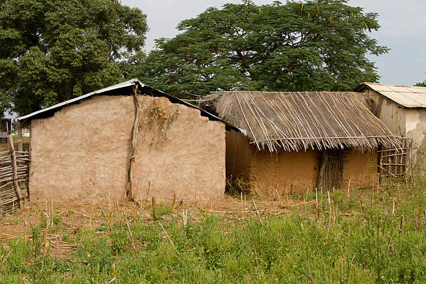 istock Traditiional hut in Dindefelo, Senegal, Africa 487418344