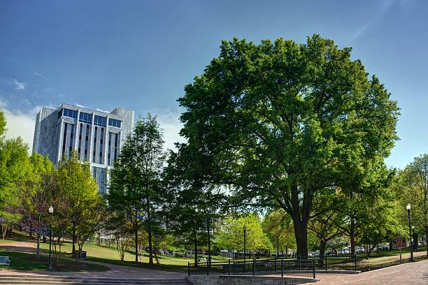istock Huntsville Alabama Big Spring Park 487418377