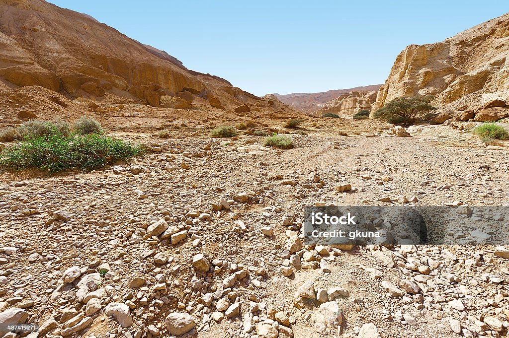 Canyon Canyon in the Judean Desert on the West Bank Arid Climate Stock Photo