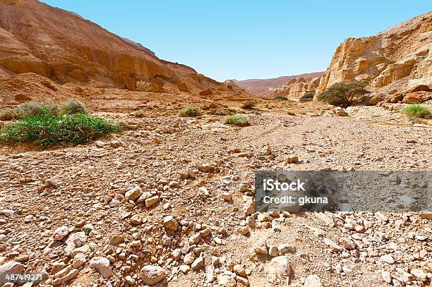 Canyon Stock Photo - Download Image Now - Arid Climate, Blue, Boulder - Rock