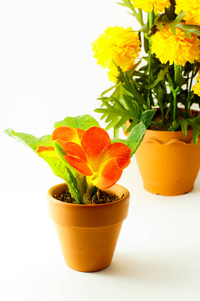 istock orange and yellow flower 487419780