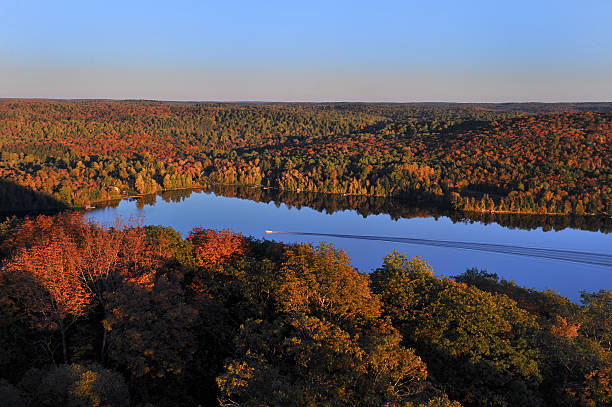 istock Red Maple Leaves of Algonquin 487419861