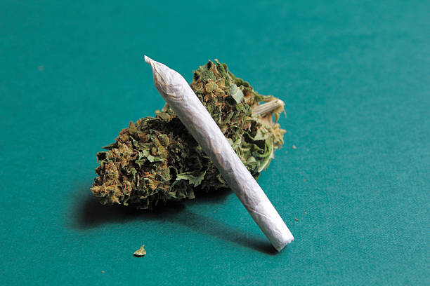 marihuana - porro fotografías e imágenes de stock