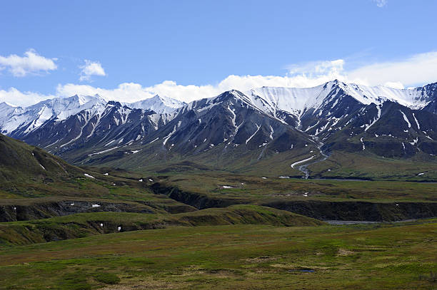 istock Scenery of Denali National Park in Summer 487423414