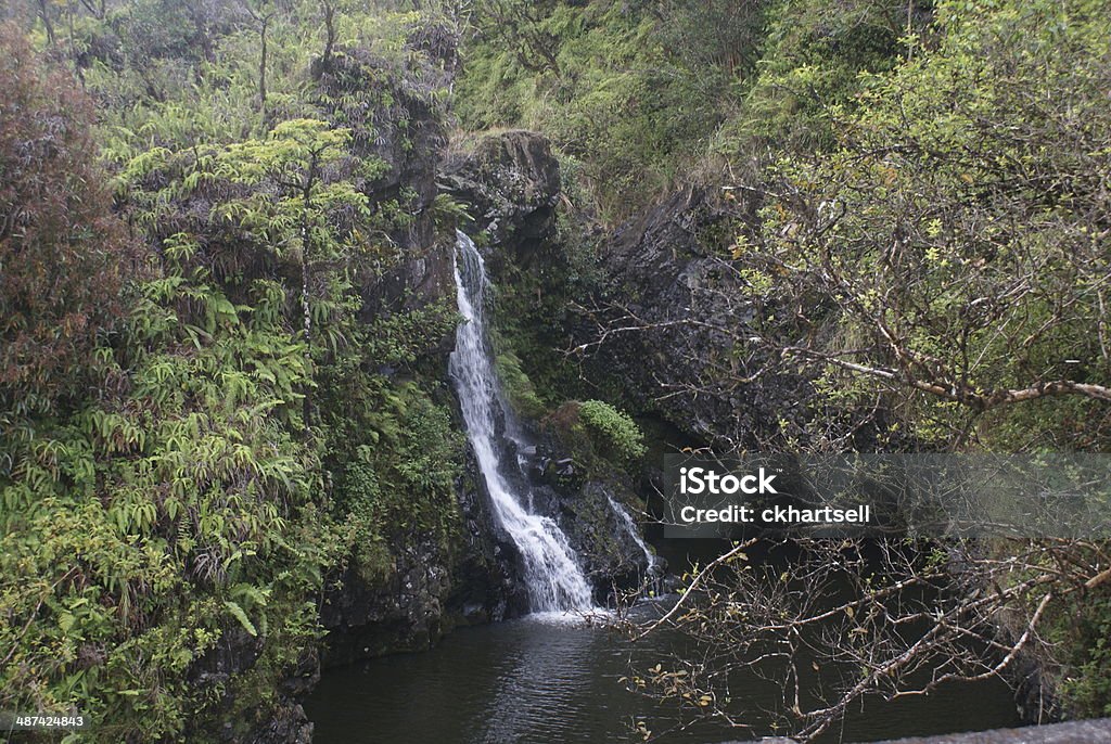 Maui con cascada - Foto de stock de Agua libre de derechos