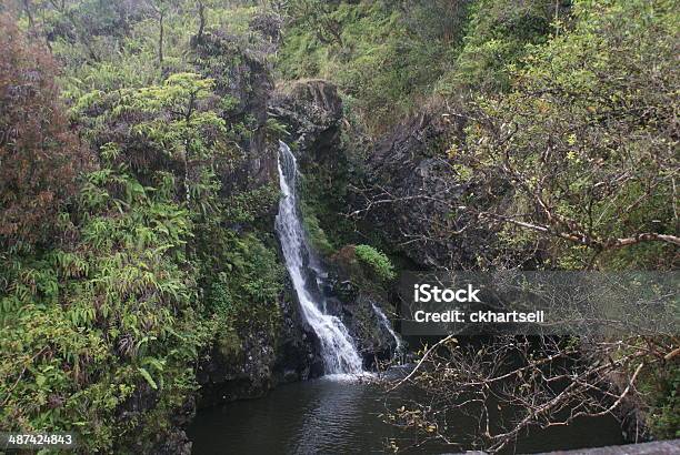 Maui Con Cascada Foto de stock y más banco de imágenes de Agua - Agua, Aire libre, Caer