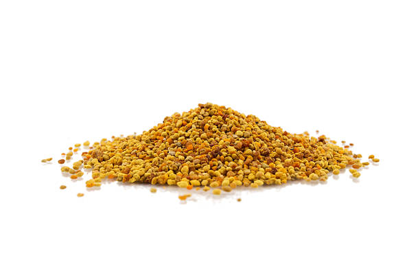 istock Pile of bee pollen 487425354
