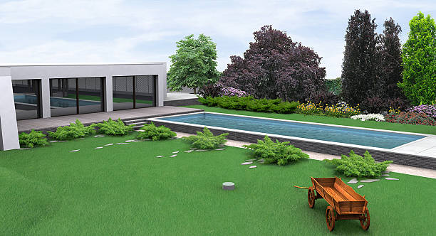Landscaping rustic style garden poolside, 3D render Natural character of the site into the design. Green design features. Example of rustic style landscaping. cotoneaster horizontalis stock pictures, royalty-free photos & images