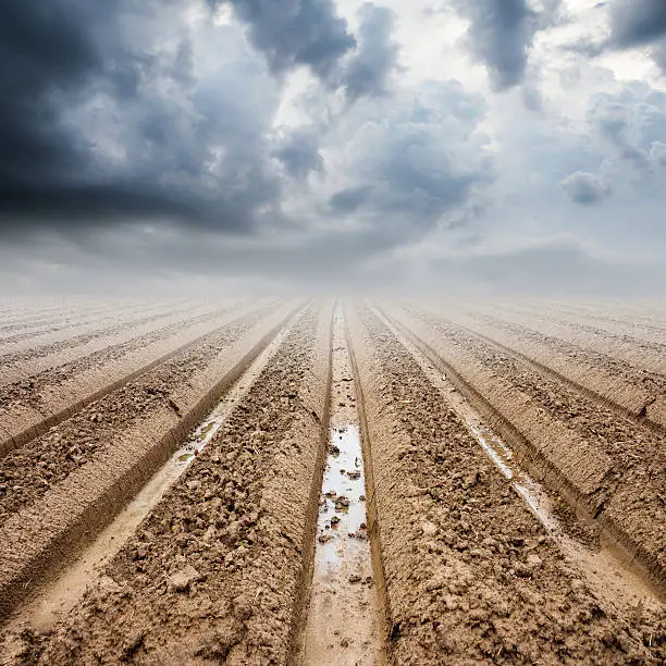 Soil preparation on field and rainclouds