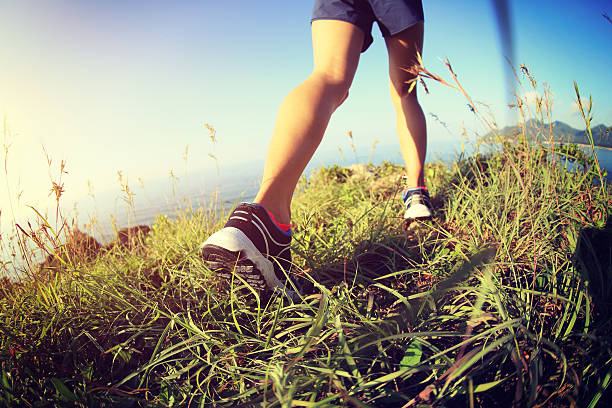 istock woman hiker legs hiking on seaside mountain grass 487427680
