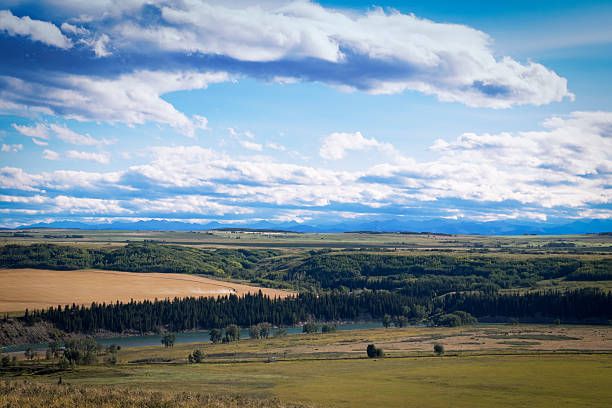 ボウ川の眺めは、グレンボウランチ州立公園 - bow valley ストックフォトと画像