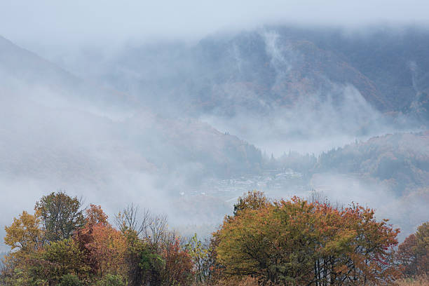 istock Autumn leaves and a shaft of light 487432166