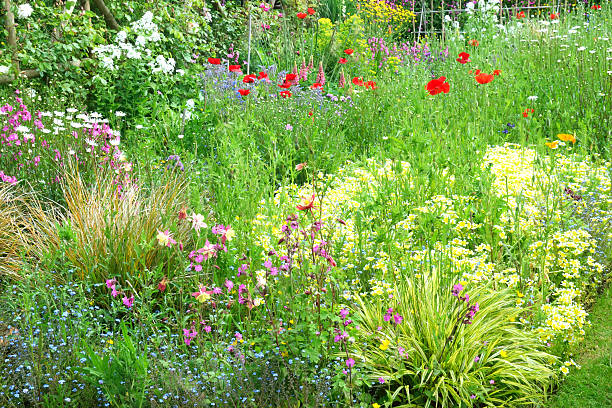 istock Colors of summer. 487435960