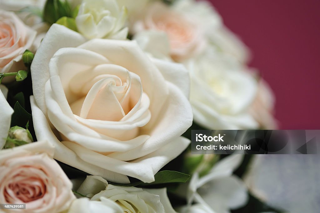 Flower Decoration Flower arrangement for a wedding bouquet Backgrounds Stock Photo