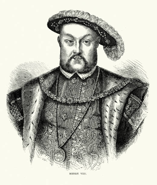 henry 8세 - tudor style king engraved image portrait stock illustrations