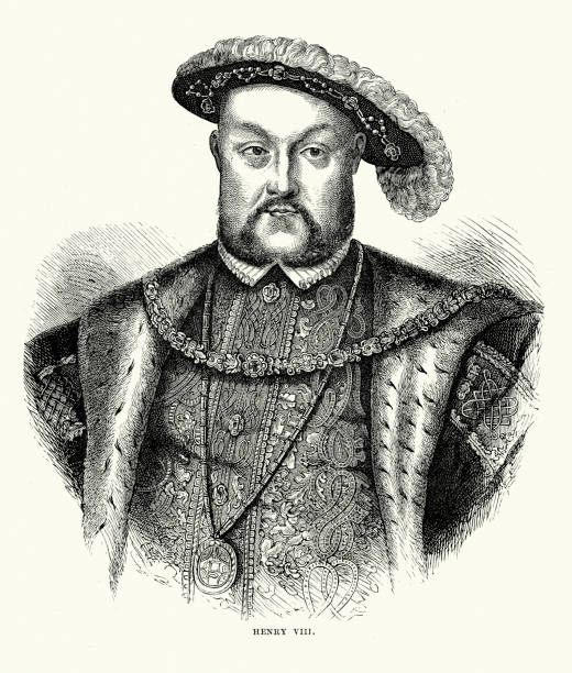 henry viii англия - henry viii tudor style king nobility stock illustrations